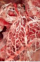 RAW meat pork viscera 0013